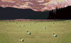 Grasslands (WoR)